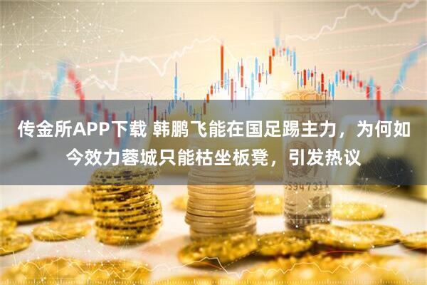 传金所APP下载 韩鹏飞能在国足踢主力，为何如今效力蓉城只能枯坐板凳，引发热议